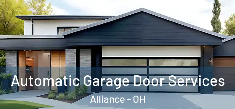  Automatic Garage Door Services Alliance - OH