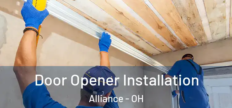 Door Opener Installation Alliance - OH