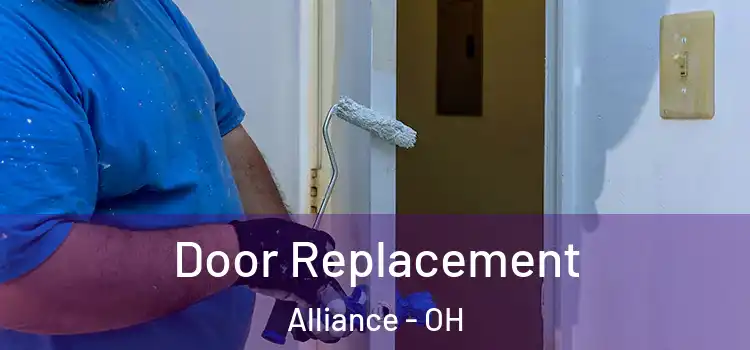  Door Replacement Alliance - OH