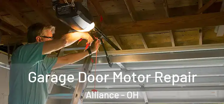  Garage Door Motor Repair Alliance - OH