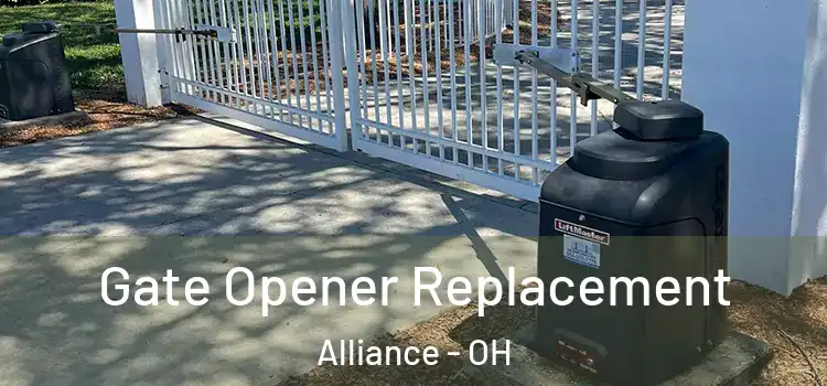  Gate Opener Replacement Alliance - OH