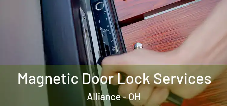  Magnetic Door Lock Services Alliance - OH